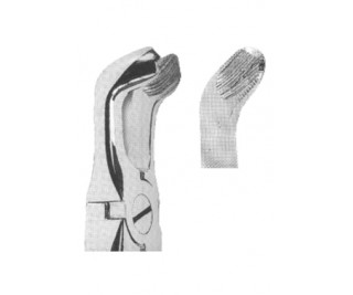 Extracting Forceps With Anatomically Shaped Handle